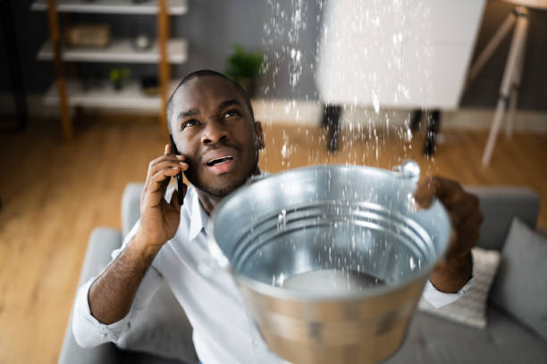 Best 24/7 water damage repair  in Chimayo, NM